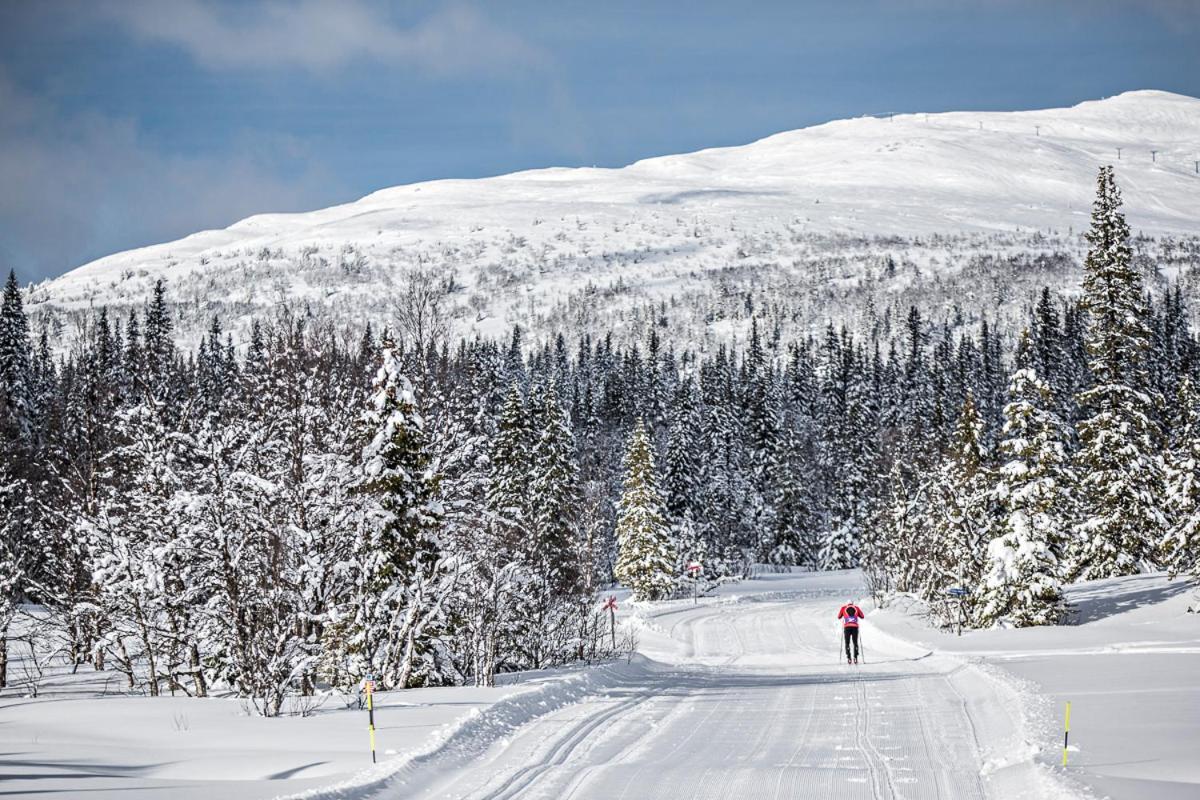 Koeja Fjaellhotell Edsasdalen Exterior foto