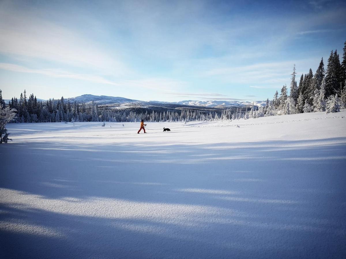Koeja Fjaellhotell Edsasdalen Exterior foto