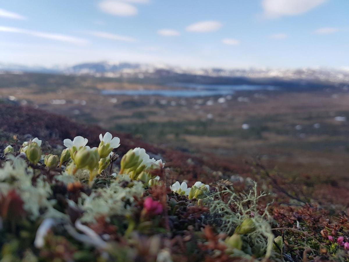 Koeja Fjaellhotell Edsasdalen Exterior foto