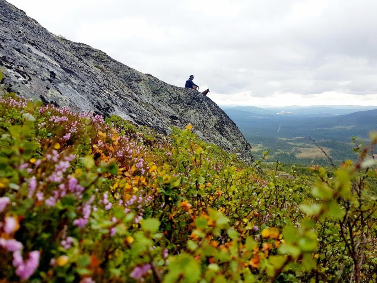 Koeja Fjaellhotell Edsasdalen Exterior foto